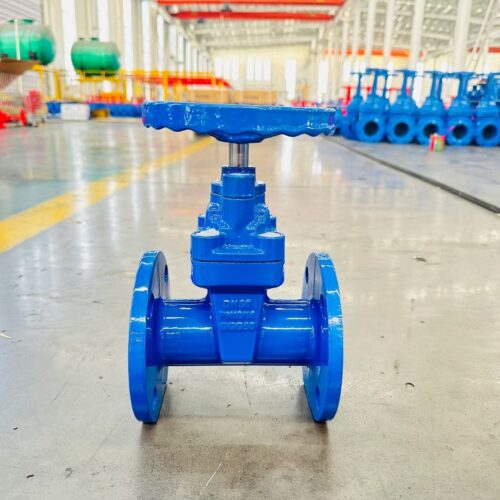 gate valve