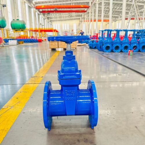 gate valve