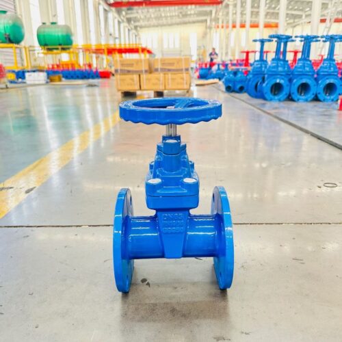 gate valve