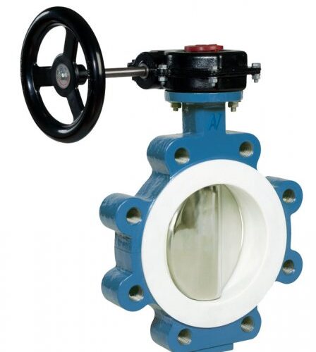 ptfe lind butterfly valve 1