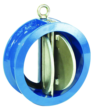 dual plate check valve