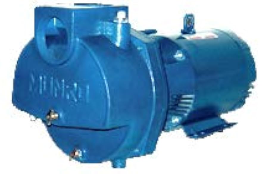 A stock image illustrating 3 horsepower irrigation pump concepts