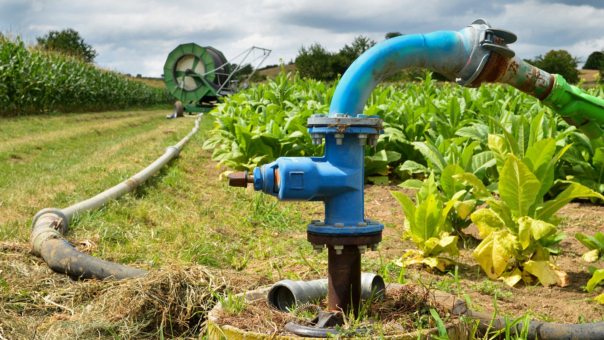 A stock image illustrating ag irrigation pumps concepts