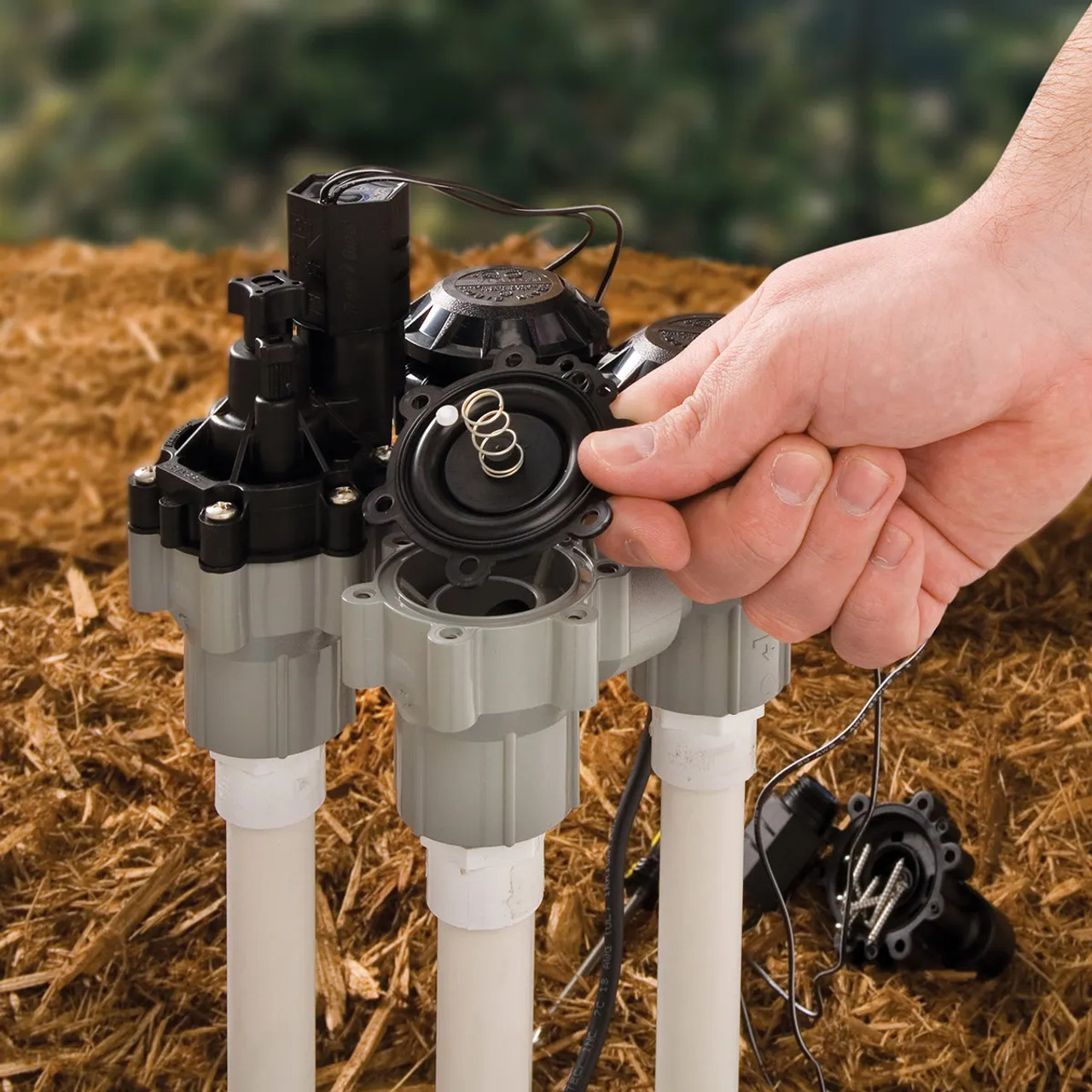A stock image illustrating anti siphon valve for irrigation system concepts