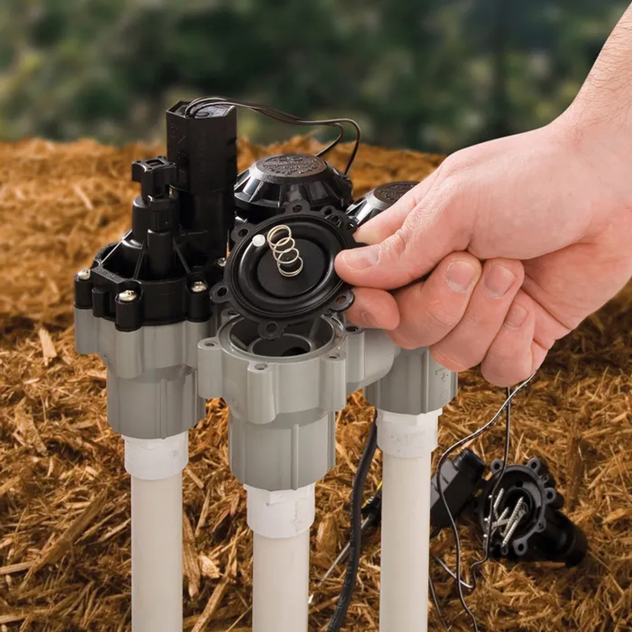 A stock image illustrating anti siphon valves for irrigation concepts