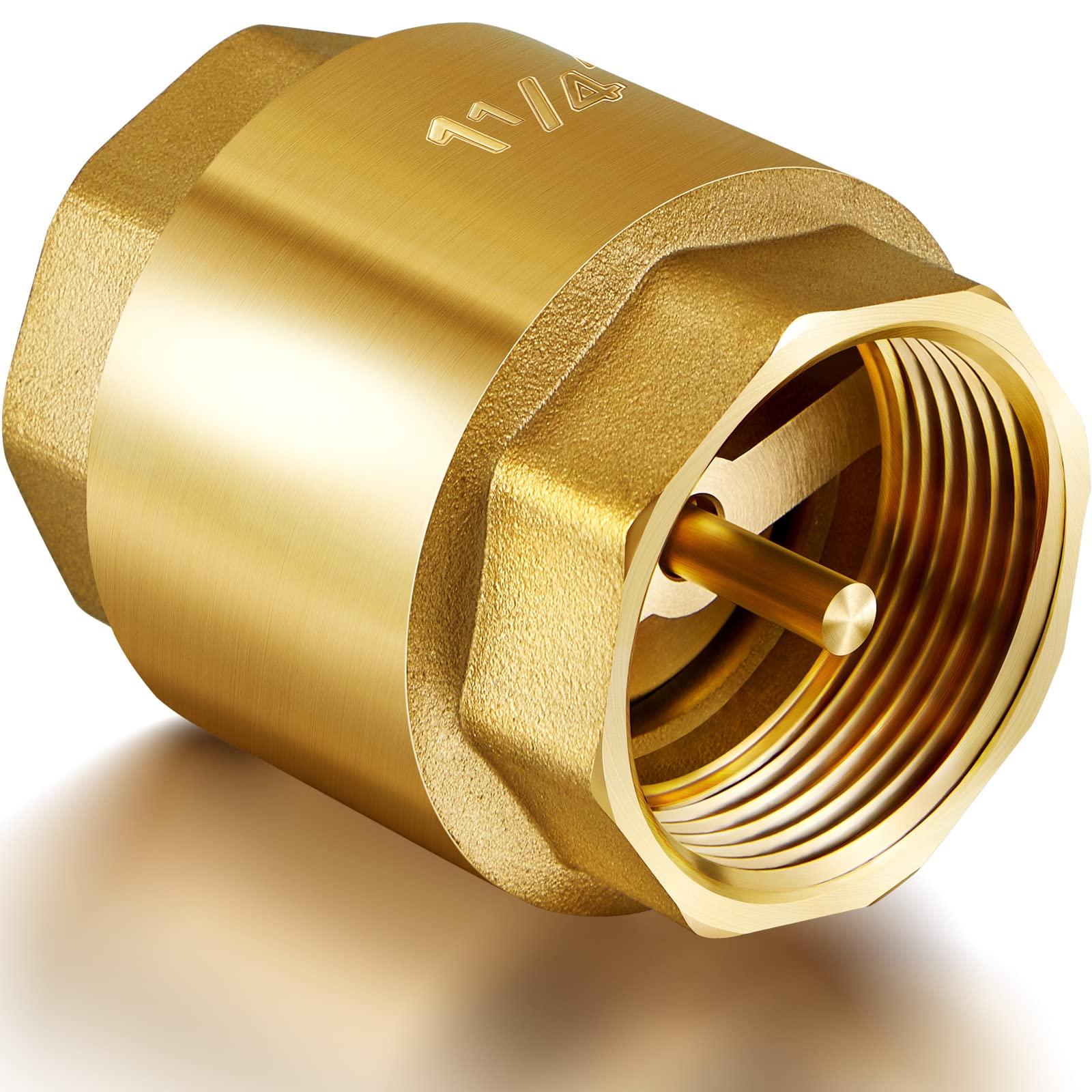 A stock image illustrating check valve for irrigation system concepts