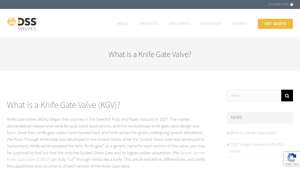 DSS Valves - Knife Gate Valves