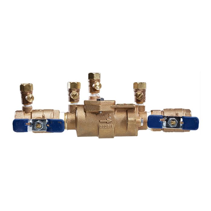 A stock image illustrating dual check valve irrigation concepts