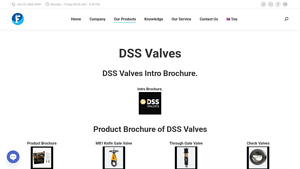 DSS Valves - Severe Service Knife Gate Valves