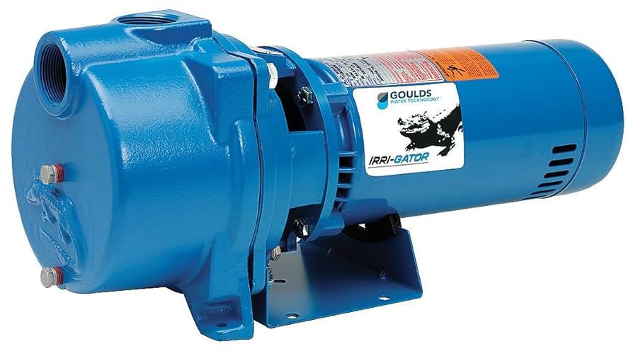 A stock image illustrating goulds irrigation pump concepts