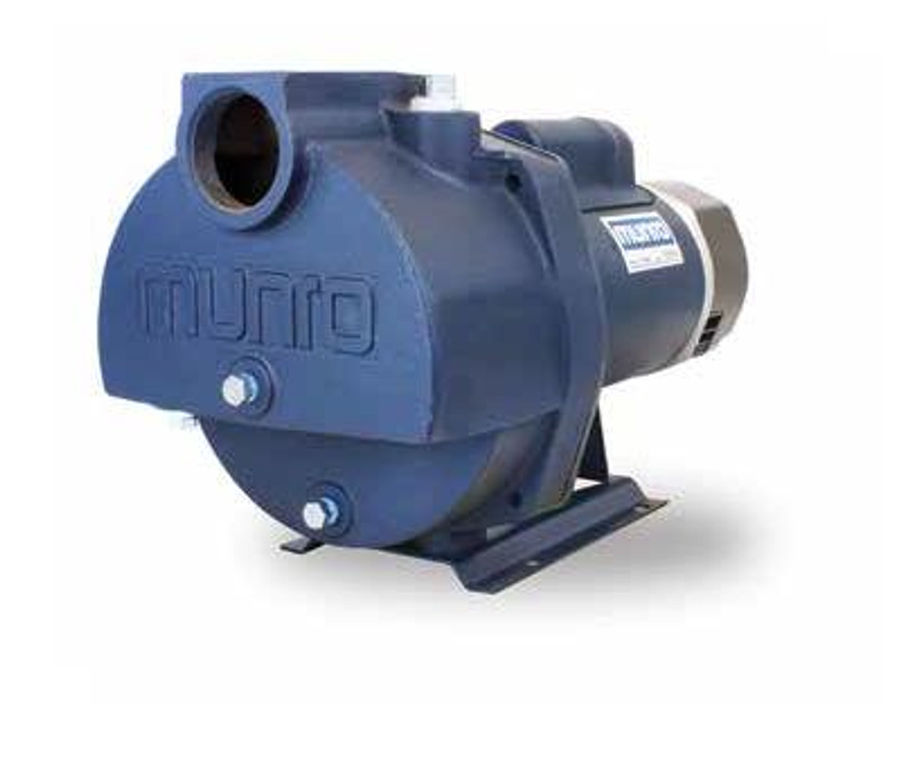 A stock image illustrating munro 2 hp irrigation pump concepts