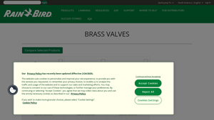 Rain Bird - Brass Valves