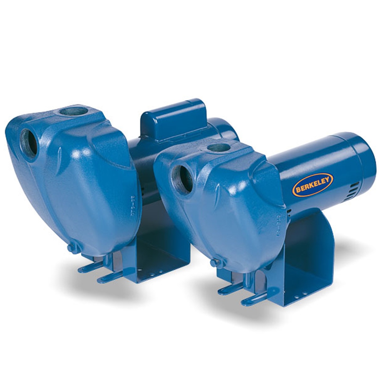 berkeley 2 hp irrigation pump factory